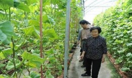 朝阳吃瓜最新事件爆料是真的吗,最新爆料真相揭秘